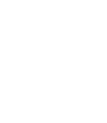 LRVS Footer Logo